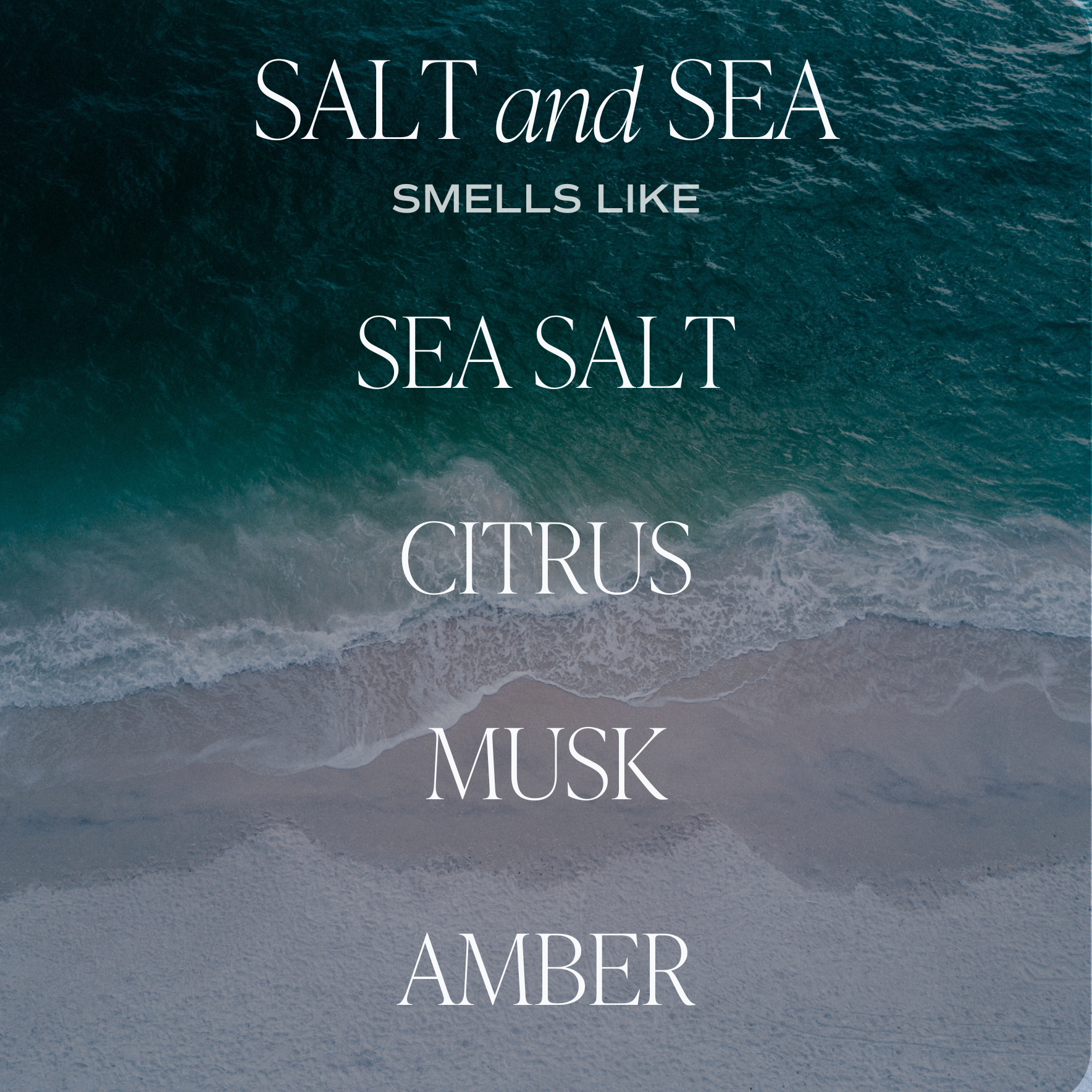 Salt & Sea Hanging Air Freshener - Home Decor & Gifts